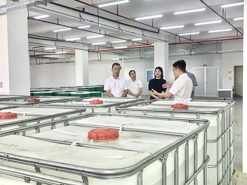 政企连心·共促发展|东莞市东城区政府领导莅临k8凯发新材参观指导